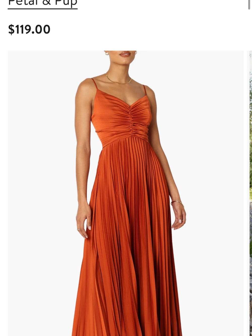 Petal & Pup Rust Pleated Maxi Dress with Ruched Bodice